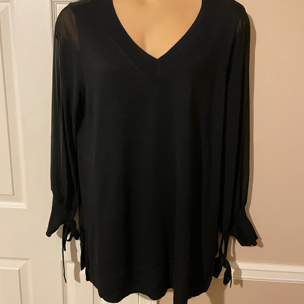 NWT sheer sleeve v neck sweater